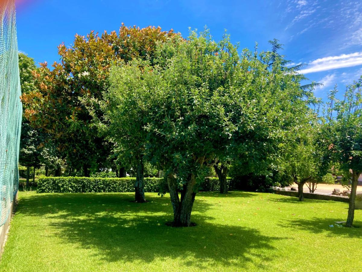 فيانا دو كاستيلو Quinta Dom Sapo - Agroturismo المظهر الخارجي الصورة